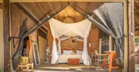 Slideshow Thumbnail 4 of 17