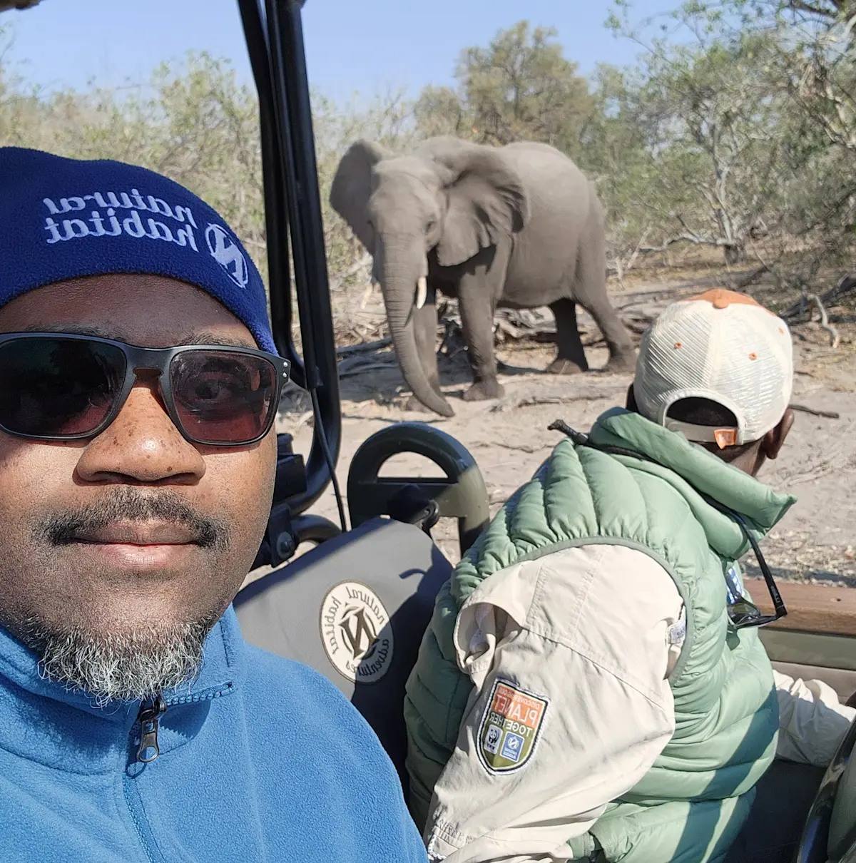 Elephant posing in Linyanti Wildlife Reserve.