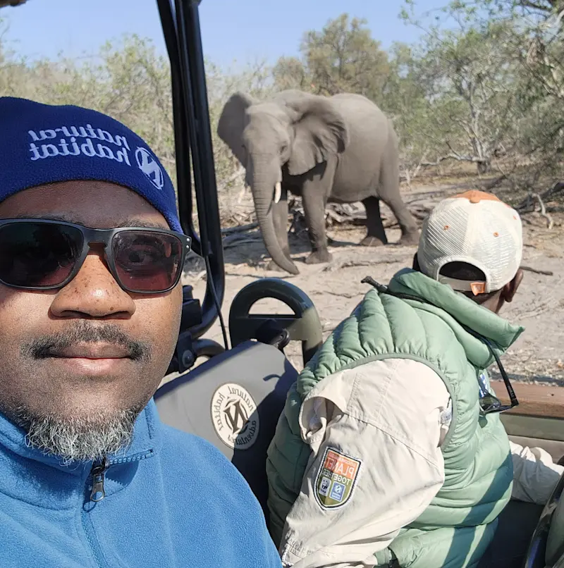 Elephant posing in Linyanti Wildlife Reserve in Botswana.