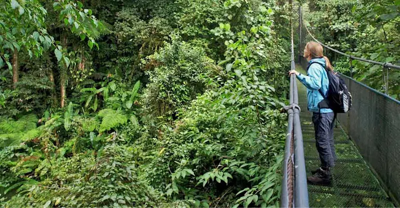 Nat Hab guest, Tenorio Volcano Hanging Bridges, Costa Rica.