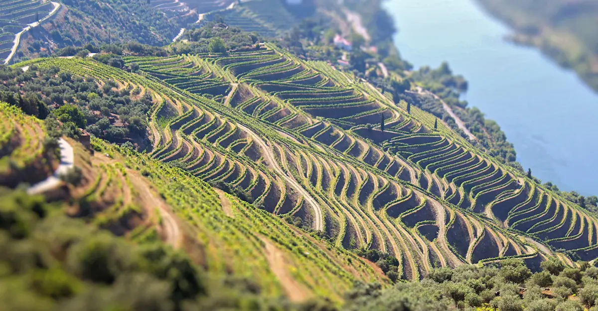 Douro Valley, Portugal.