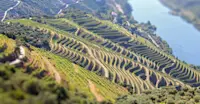 Douro Valley, Portugal