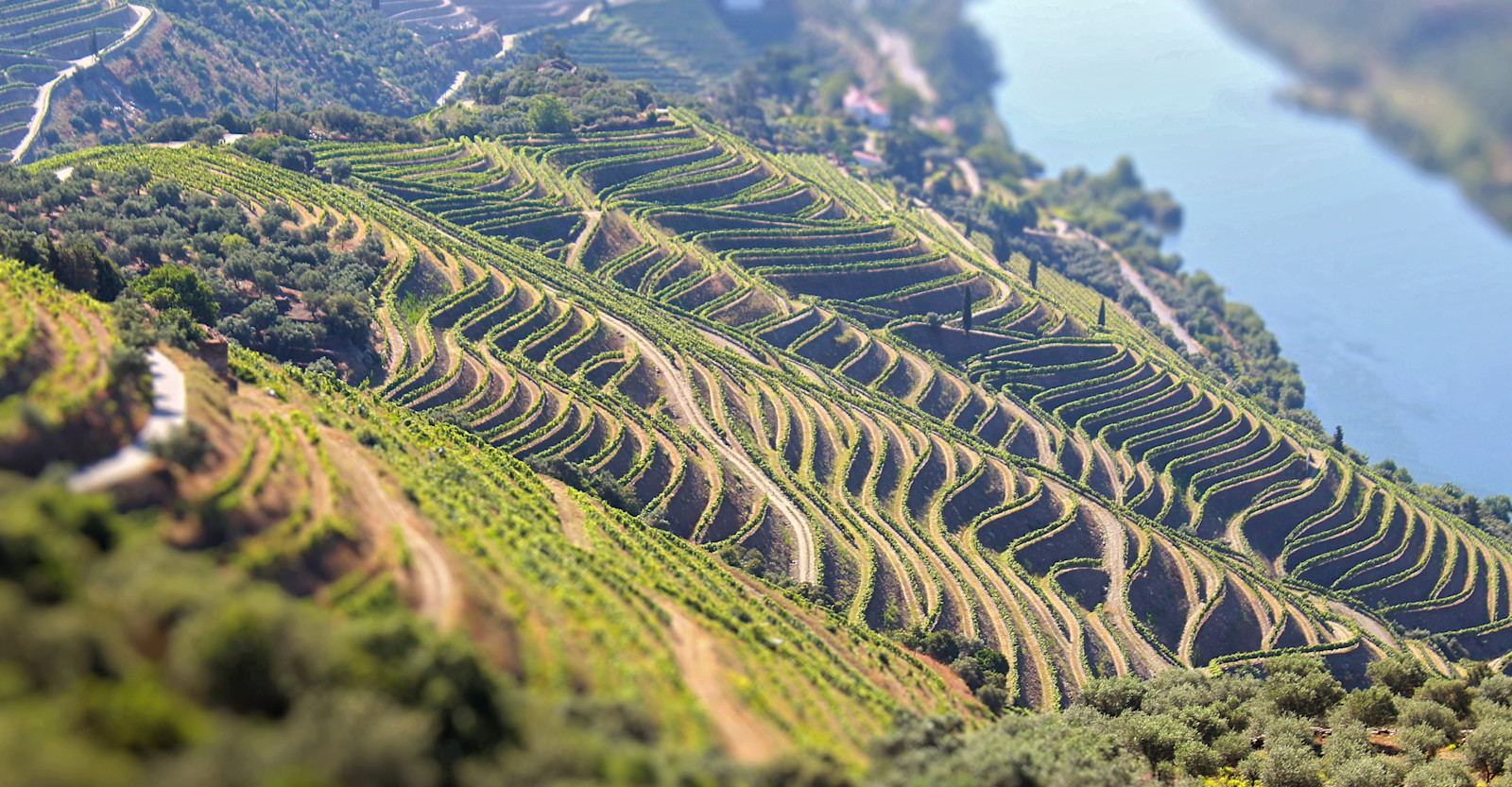 Douro Valley, Portugal