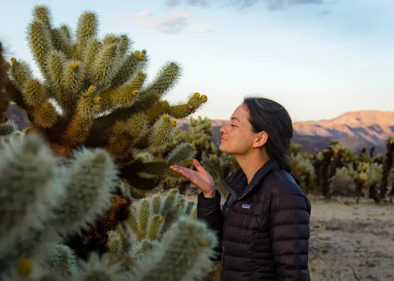 Death-Valley, Nevada. 