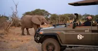 Nat Hab's Electric Safari Vehicle