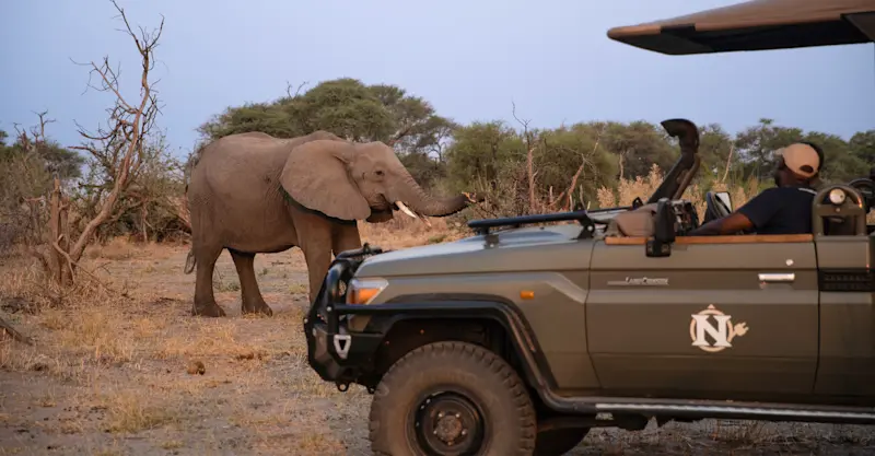 Nat Hab's Electric Safari Vehicle