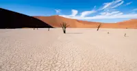 Deadvlei, Namib-Naukluft National Park, Namibia.