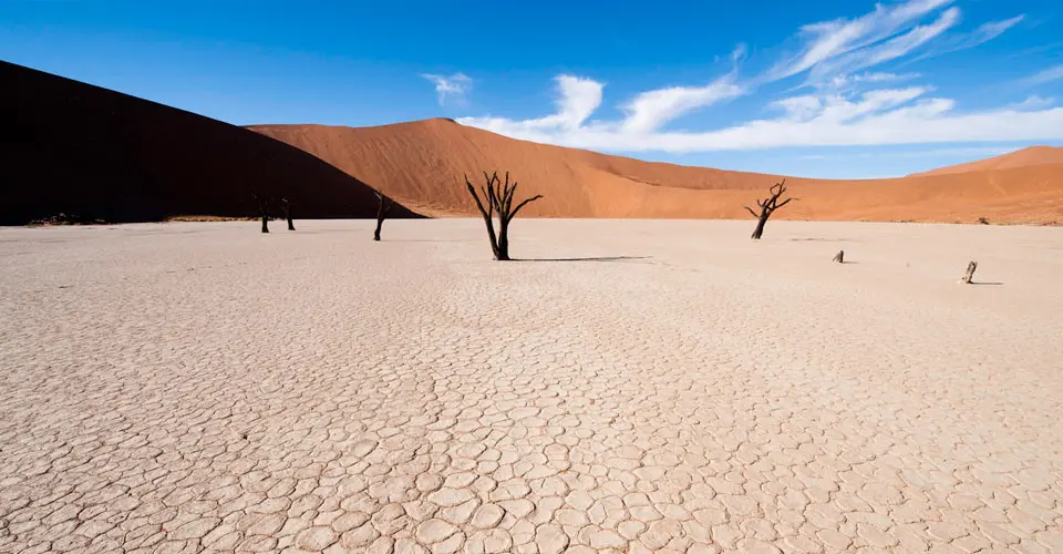 Deadvlei, Namib-Naukluft National Park, Namibia.