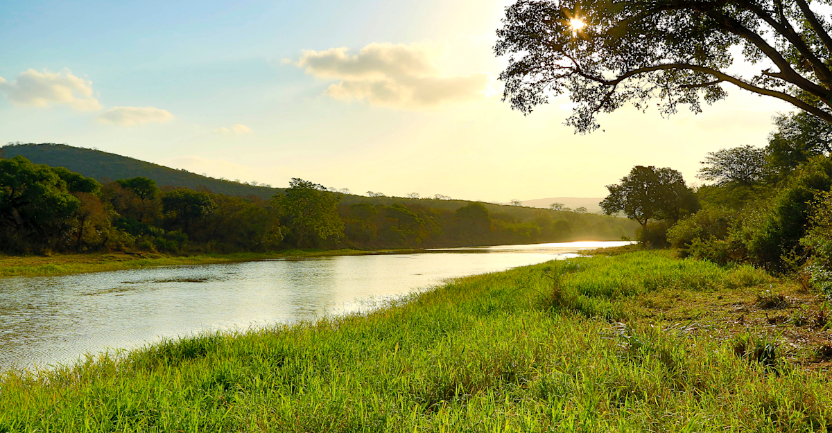 River in Hluhluwe-iMfolozi Park, South Africa.