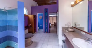 Guest bathroom