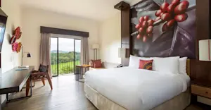 King Room