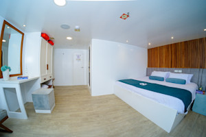 Category 1: Cabins 1-4