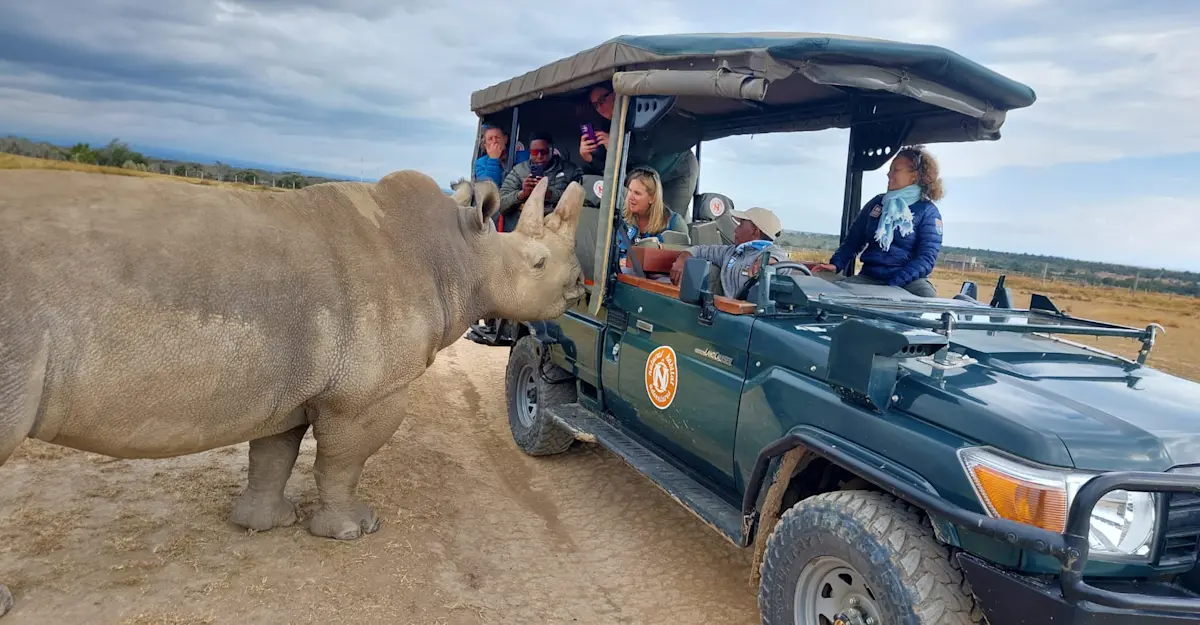 Meeting a white rhino in Kenya, 2023.