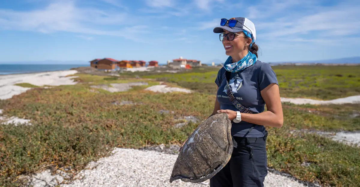 Nat Hab Expedition Leader, San Ignacio Lagoon, Baja, Mexico.