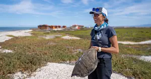 Nat Hab Expedition Leader, San Ignacio Lagoon, Baja, Mexico.