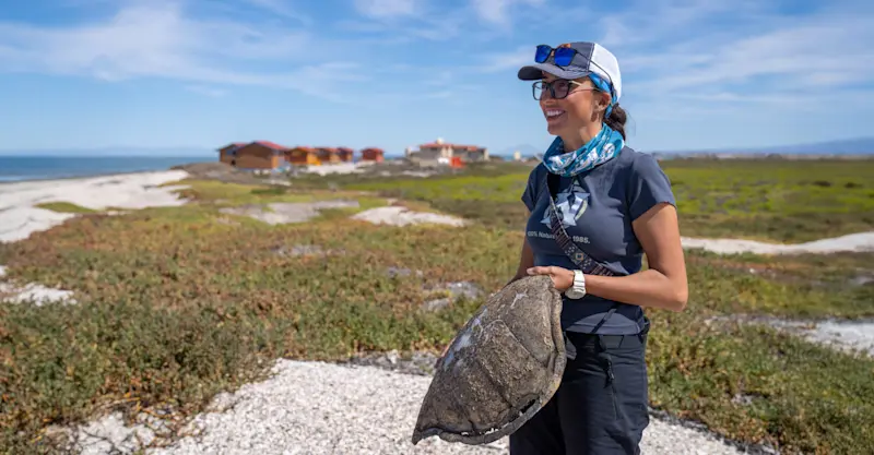 Nat Hab Expedition Leader, San Ignacio Lagoon, Baja, Mexico.