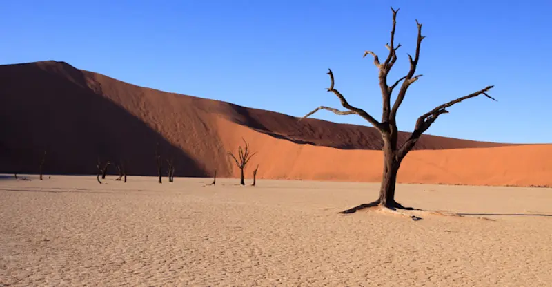 Deadvlei, Sossusvlei, Namib-Naukluft National Park, Namibia.