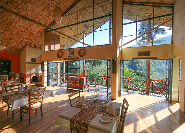 Mahogany Springs Lodge Bwindi Impenetrable National Park Uganda