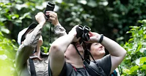 Nat Hab guests, Bwindi Impenetrable Forest National Park, Uganda.