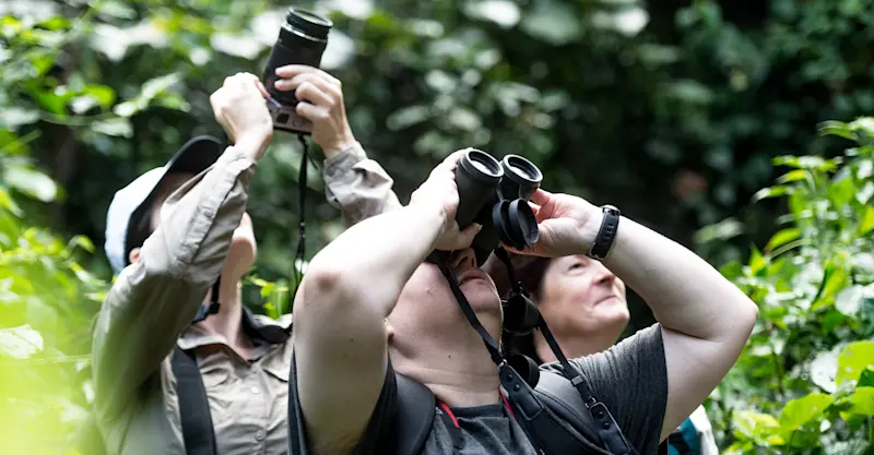 Nat Hab guests, Bwindi Impenetrable Forest National Park, Uganda.