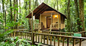 Guest cabin