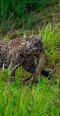 Slideshow Thumbnail 6 of 6