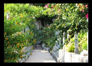 Slideshow Image