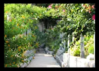 Slideshow Thumbnail 3 of 5