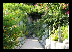 Slideshow Image
