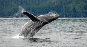 Slideshow Image Thumbnail 7 of 16