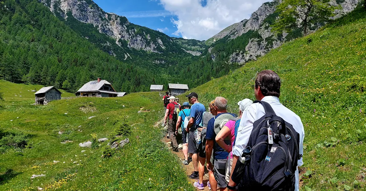 Nat Hab guests, Triglav National Park, Slovenia. 