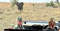 Elephants in Tanzania. 