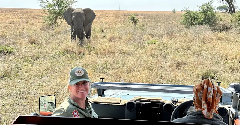 Elephants in Tanzania. 