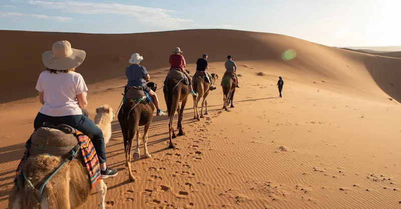 Camel caravan, Morocco.