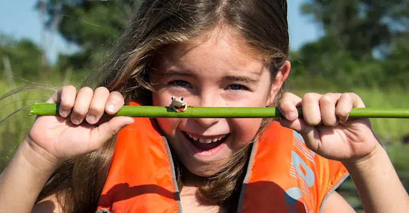 Reed frog and Nat Hab guest, Okavango Delta, Botswana.