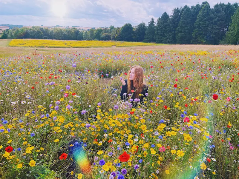 The Cotswolds—my favorite place on Earth. 