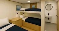 Graphic Rendering