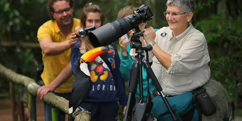 Nat Hab guests view toucan, Pantanal, Brazil.