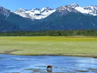 Mountain views and bear watching at bear camp, Alaska. 