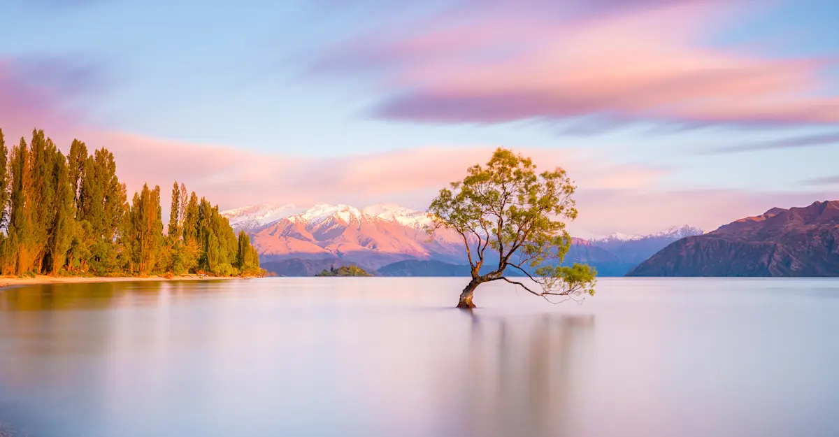 Wanaka Tree, New Zealand.