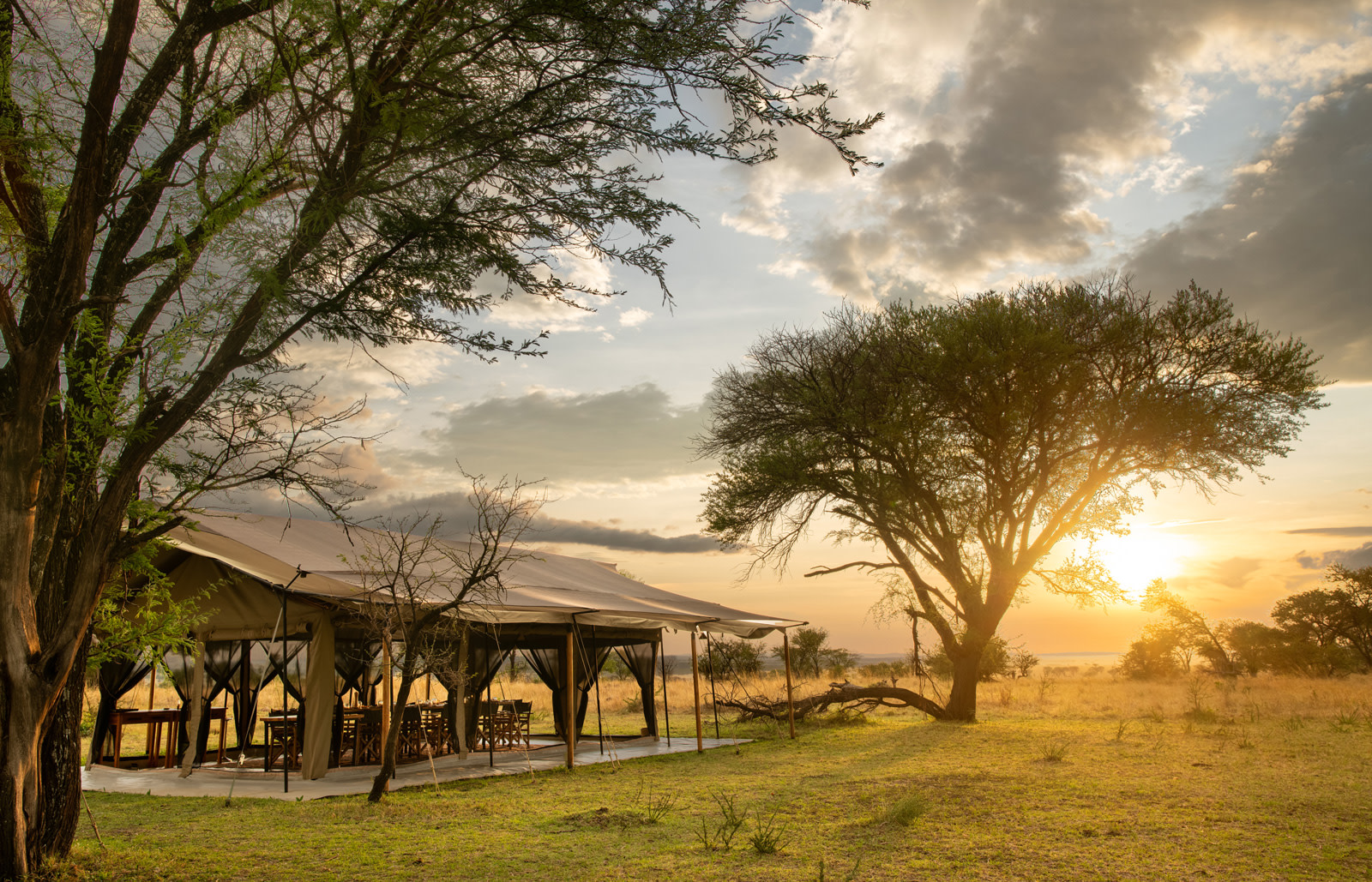 Dining tent at Nat Hab's Migration Camp—Serengeti North