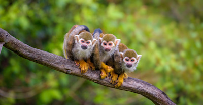 Why It Matters image