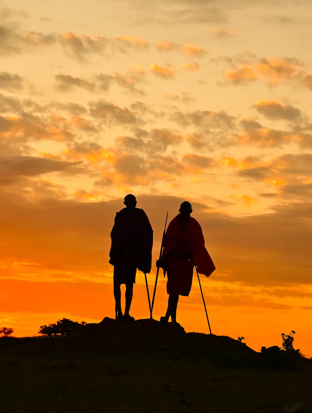 Maasai.