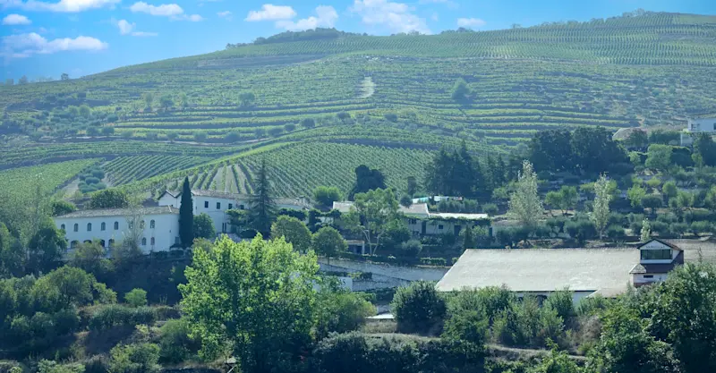 Quintas, Douro Valley, Portugal. 