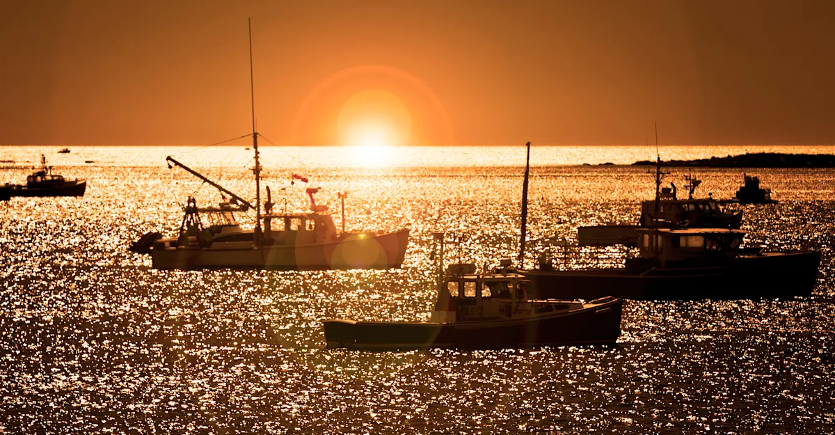 Lobster boats in the harbor at sunset, Bar Harbor, Maine.