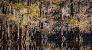 Slideshow Image Thumbnail 3 of 18