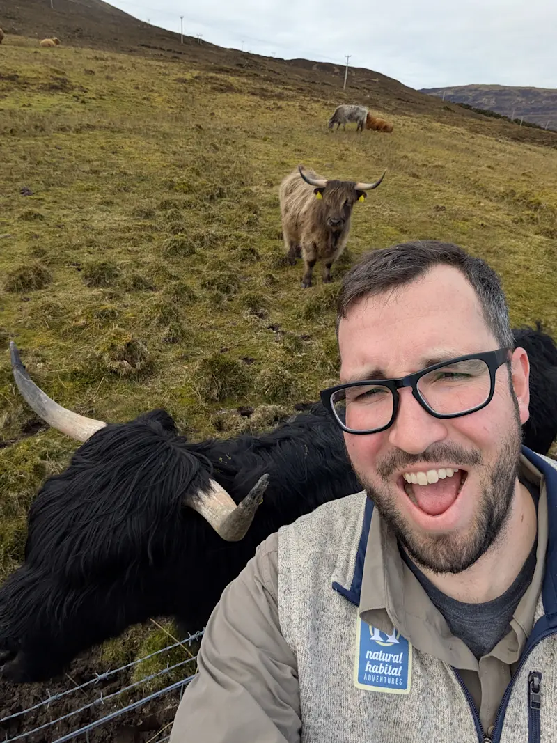 Clowning with Highland Coos, Isle of Skye, Scotland.