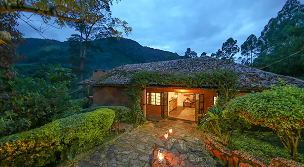 Mahogany Springs Lodge Bwindi Impenetrable National Park Uganda