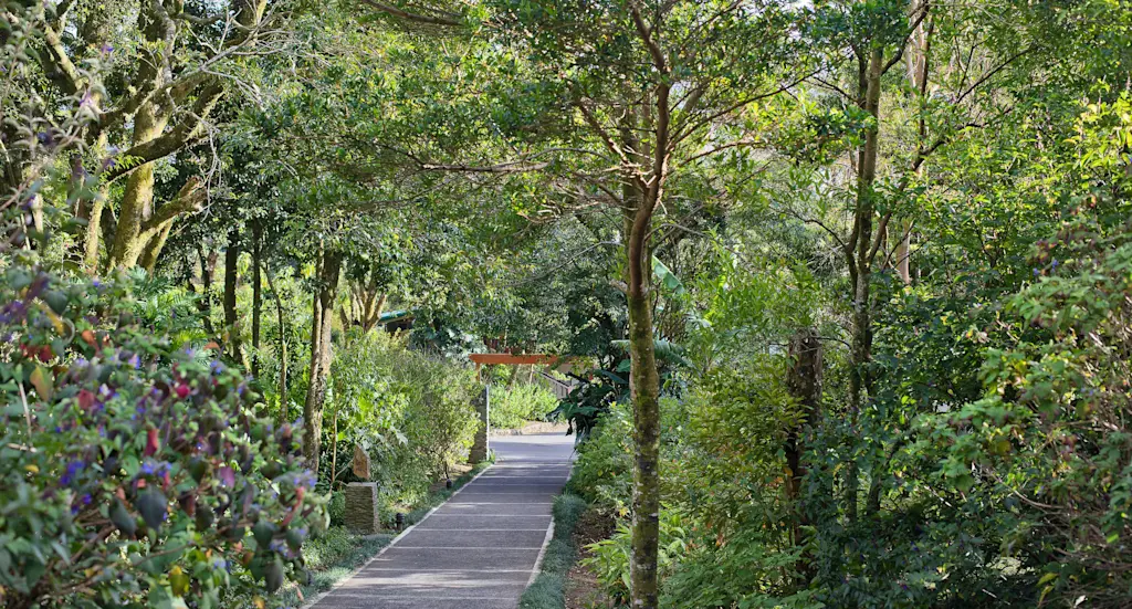 Walkway to guest suites