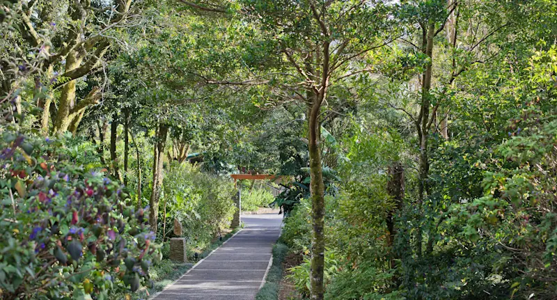 Walkway to guest suites